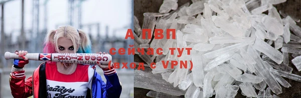 стафф Осташков