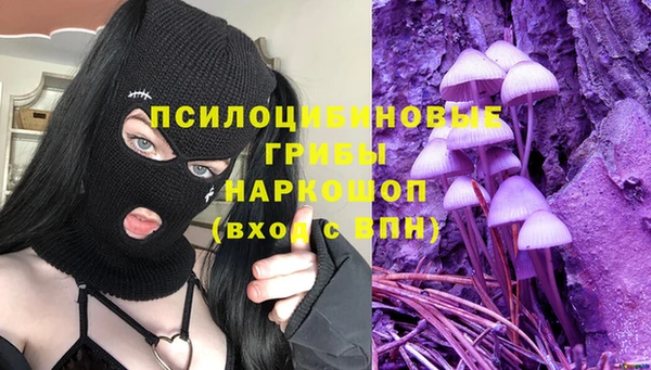 дмт Аксай