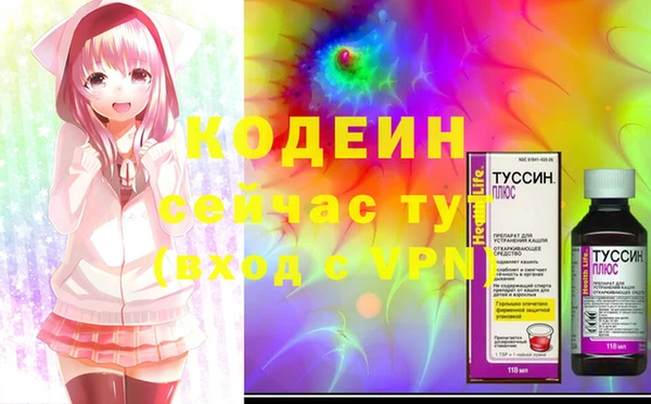 ECSTASY Няндома