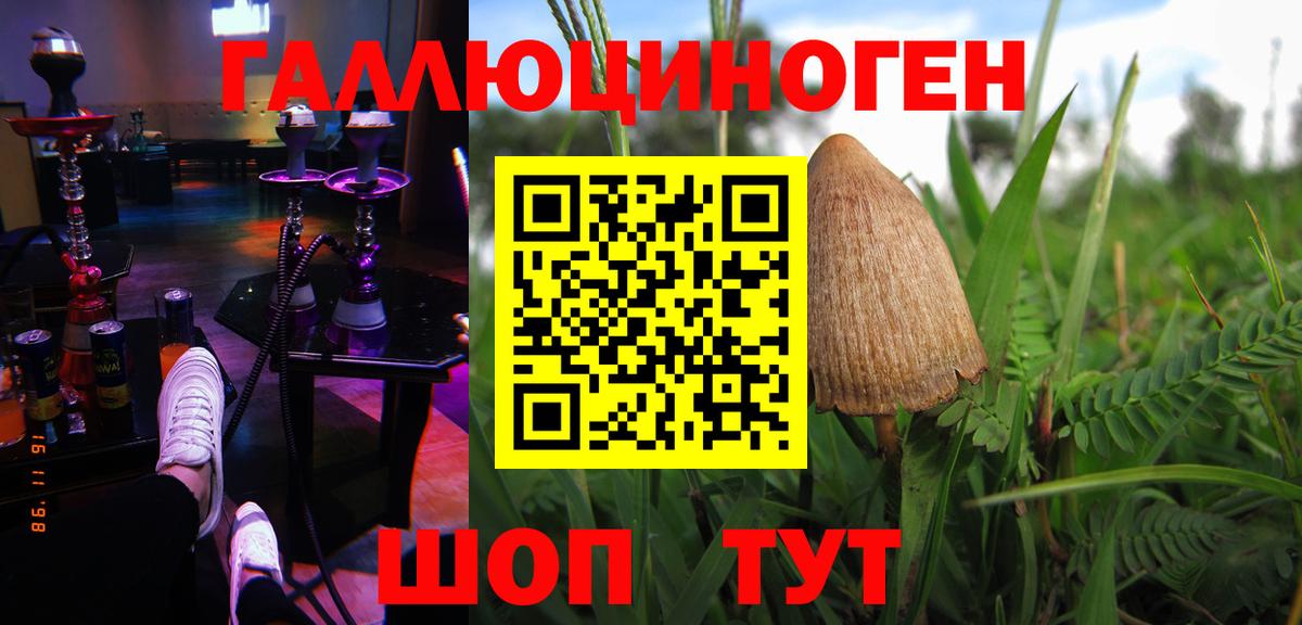 Галлюциногенные грибы GOLDEN TEACHER  Вход с VPN  Красноперекопск 