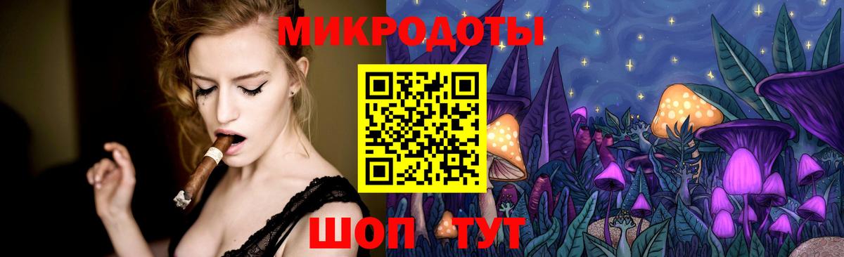 Псилоцибиновые грибы Psilocybe Красноперекопск